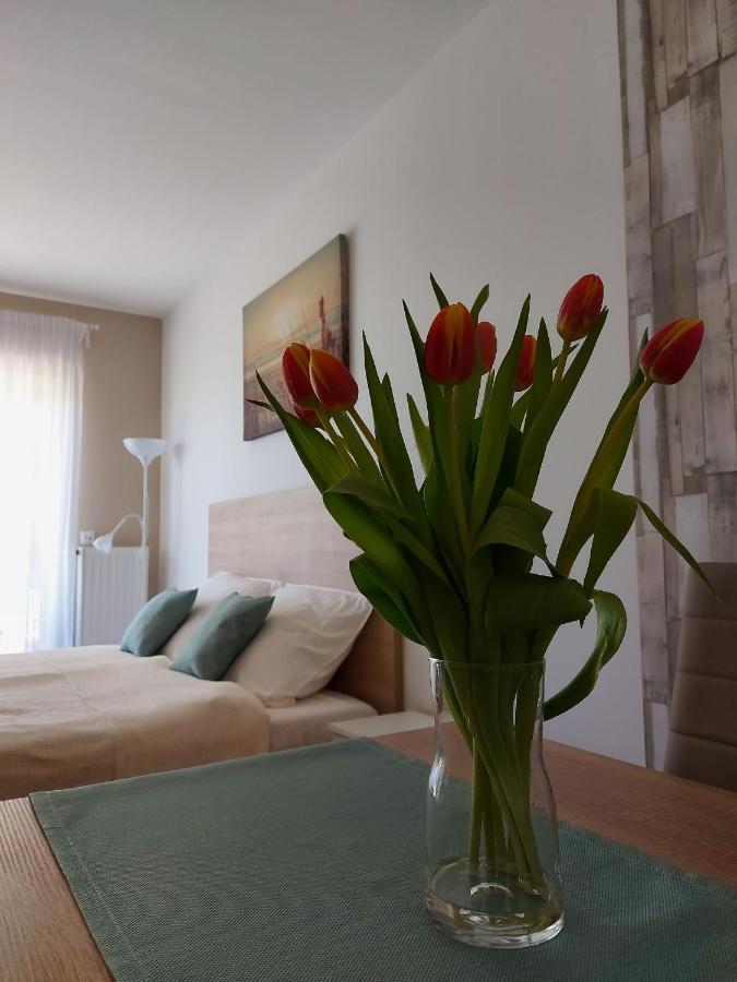 Bike & Spa Velence Apartman Extérieur photo